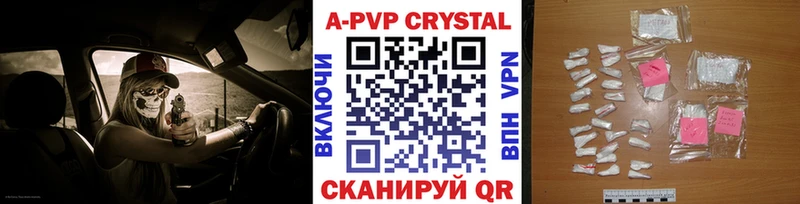 A PVP СК КРИС  Мосальск 